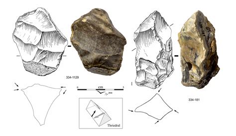 Homo Habilis Tools