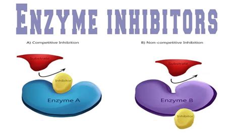 Enzyme Inhibitors | Enzyme inhibitor, Enzymes, Learn quran