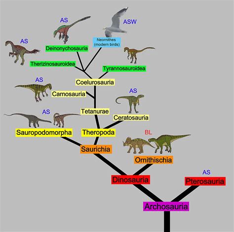 Shrinking dinosaurs evolved into flying birds