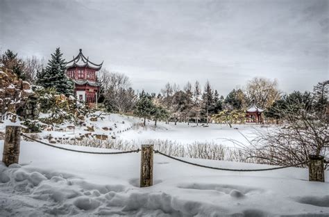 Montreal Botanical Garden in winter