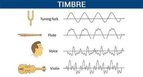 Timbre – Five Guys Facts – Medium