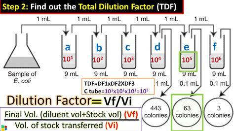 How to Calculate CFU per ml of a Bacterial sample? In simple 3 steps