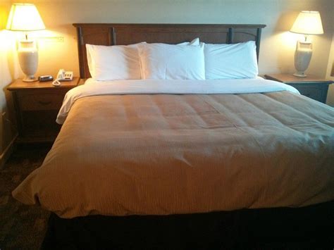 PORT MOTEL - Prices & Hotel Reviews (Port Colborne, Ontario, Canada)