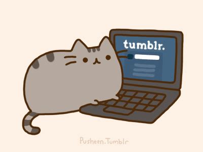 pusheen cat gifs Page 4 | WiffleGif