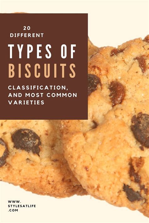 20 Different Types of Biscuits: Classification, and Most Common Varieties