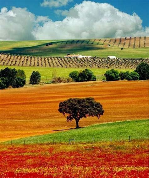 Alentejo | Places in portugal, Portugal travel, Beautiful places to visit