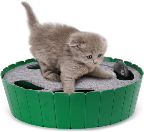 The Best Cat Toys and Accessories For Christmas 2021