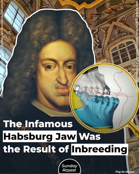 The Infamous Habsburg Jaw Was the Result of Inbreeding | Incest was once seen as a way of ...