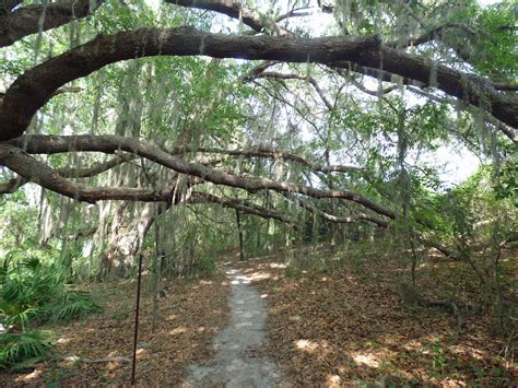 Palatlakaha River Trail In PEAR Park - Leesburg-News.com