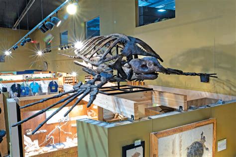 Wyoming Dinosaur Center Museum adds new exhibits - Thermopolis Independent Record