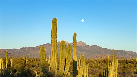 Phoenix weather: 2021 starts with warmer temperatures, calm winds