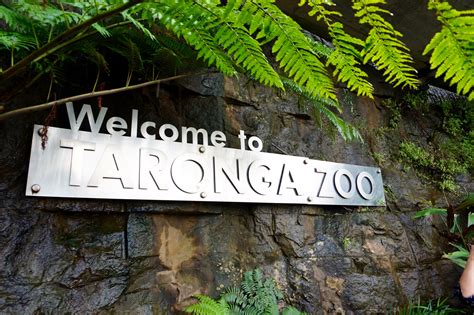 Travel Diary: Taronga Zoo- Sydney, Australia