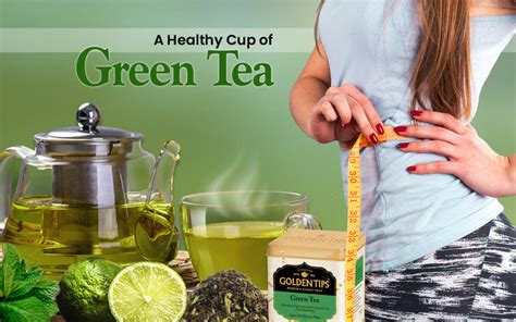 Can Green Tea Help You in Weight Loss? – Golden Tips