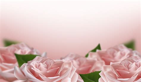 Background Flower Pink White Vector | Best Flower Site