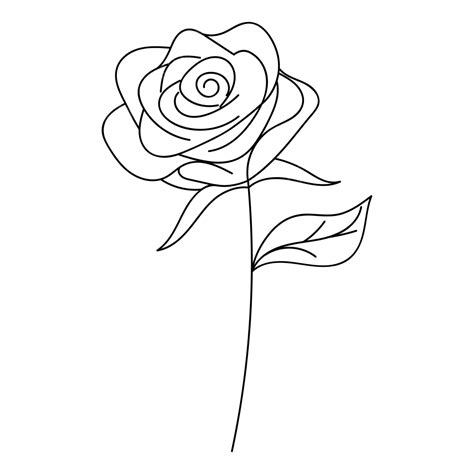 Rose Flower Line Art Design Decoration Monoline Floral, Flower Drawing, Rose Drawing, Rat ...