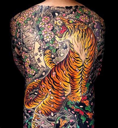 Japanese style tiger in sakura full back tattoo - Tattooimages.biz