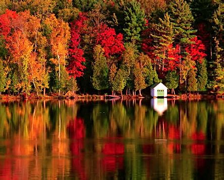 The Best Places to See Fall Foliage in New Hampshire's Lakes Region