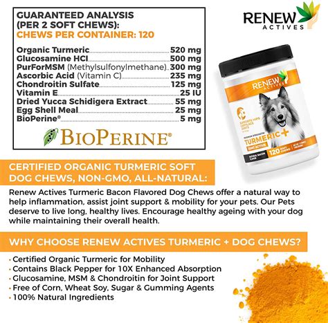 Organic Turmeric Joint Supplement for Dogs - 120 Soft Chews – Renew Actives