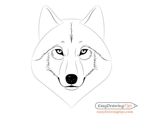 How to Draw a Wolf Face & Head Step by Step - EasyDrawingTips