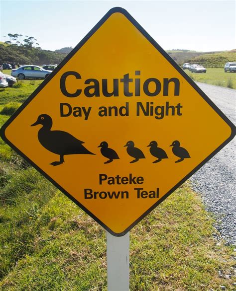 17 Best images about NEW ZEALAND ROAD SIGNS on Pinterest | Signs, Funny road signs and Slow down