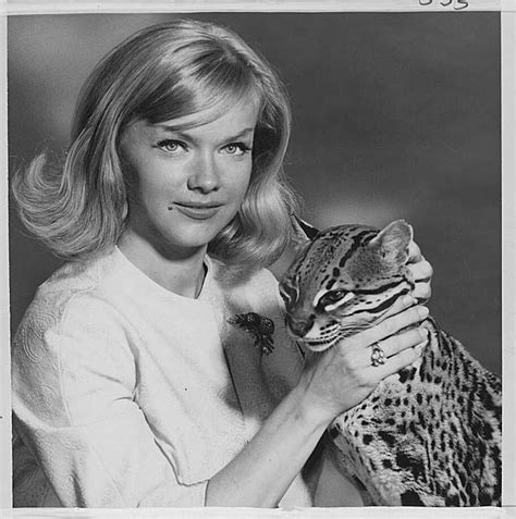 Anne Francis, film and TV actress, dies at 80 - SFGate