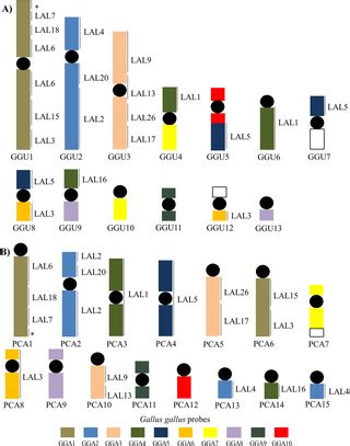 Chromosomal evolution and phylogenetic considerations in cuckoos (Aves, Cuculiformes, Cuculidae ...