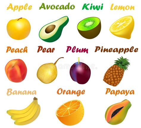 Fruits Names Stock Illustrations – 301 Fruits Names Stock Illustrations ...