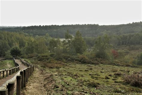 Kwintelooijen e.o. | Geopark Heuvelrug Gooi en Vecht