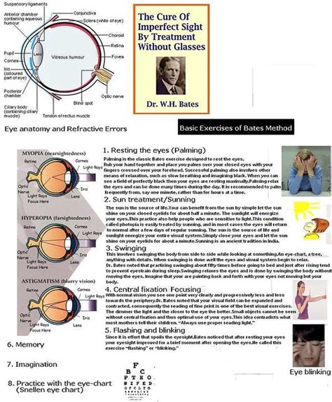 Basic Exercises of Bates Method | Bates Method of Vision Tra… | Flickr