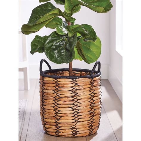 Basket Planter How To - Mbi Garden Plant