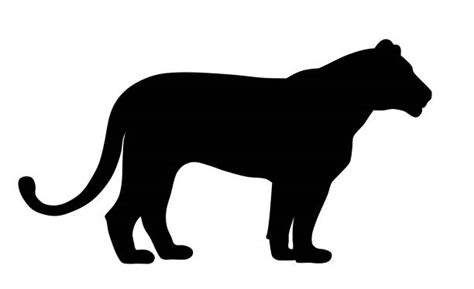 Mountain Lion Silhouette Illustrations, Royalty-Free Vector Graphics ...