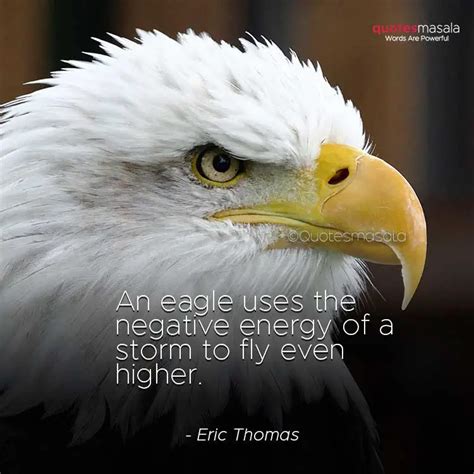 200+ Inspirational Eagle Quotes | Live Life With Attitude, Positive ...