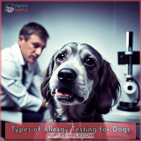 Dog Allergy Testing: Types, Allergens & Importance