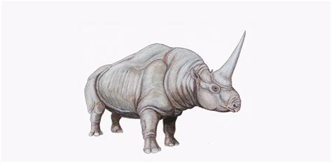 Unicorn-like fossil discovered | News | bakersfield.com