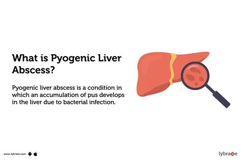 Pyogenic Liver Abscess: Causes, Symptoms, Treatment and Cost