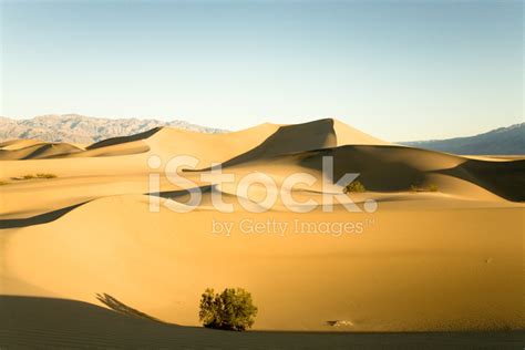 Sand Dunes - Death Valley Np Stock Photo | Royalty-Free | FreeImages