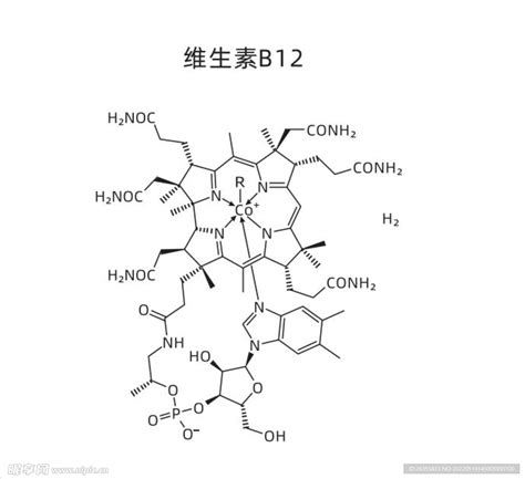 维生素B12 化学方程式 矢量设计图__医疗保健_生活百科_设计图库_昵图网