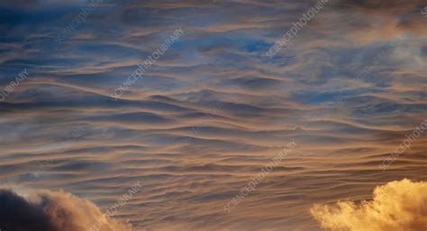 Altostratus cloud formation during sunset - Stock Image - C059/9797 ...