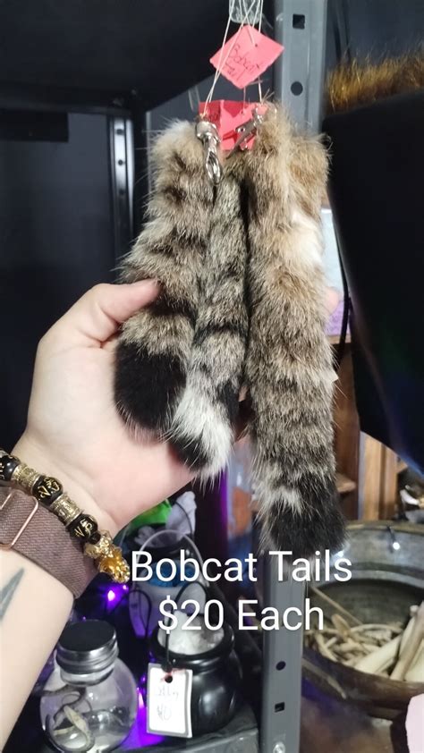 Bobcat Tail - Etsy