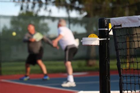 How Do Pickleball Rankings Work? - PickleVine.com