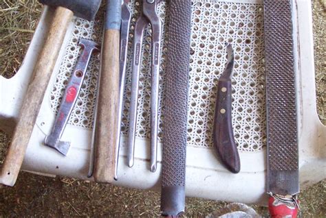 A Farrier's Tools of the Trade | EquiMed - Horse Health Matters