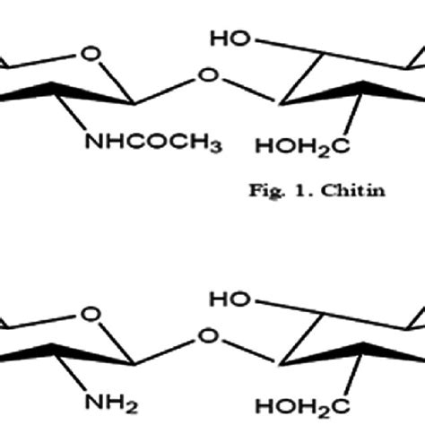 Chemical Structure of chitin | Download Scientific Diagram