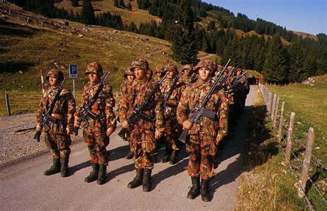 38 best Swiss Armed Forces/Swiss Military Forces images on Pinterest ...