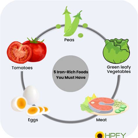 How To Increase Iron Levels Quickly: Top Iron Rich Foods