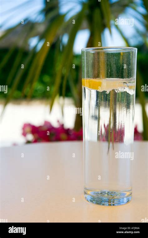 GIN AND TONIC Stock Photo - Alamy