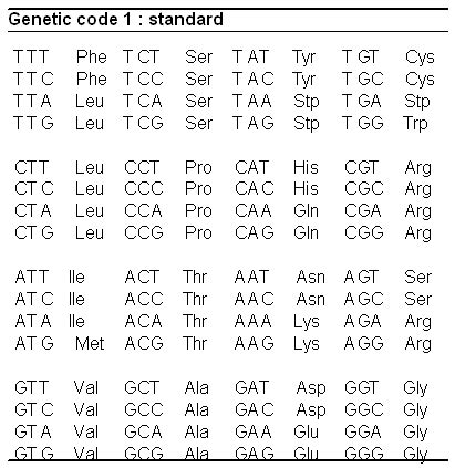 Dna Codon Table | Cabinets Matttroy