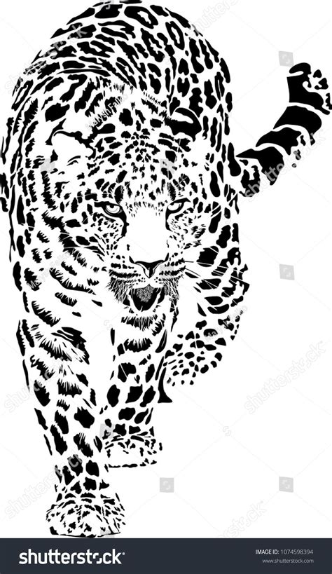 Black and white vector sketch of walks leopard #Ad , #spon, #vector# ...