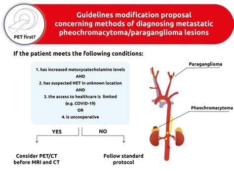 JCM | Free Full-Text | Management of Pheochromocytomas and Paragangliomas: A Case-Based Review ...