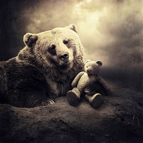 HD wallpaper: animals digital surrealism bears sarolta ban 1600x1600 Animals Bears HD Art ...