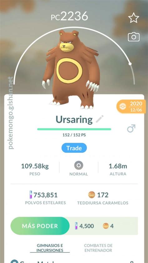 Ursaring - Pokemon Go